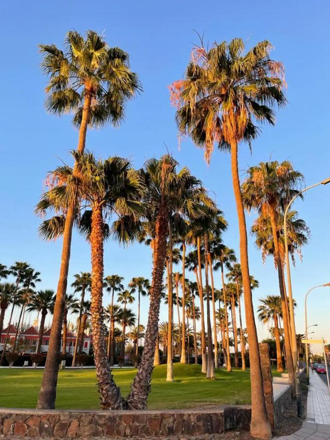 Playa Del Ingles Vitamine D Garantie San Bartolomé 외부 사진